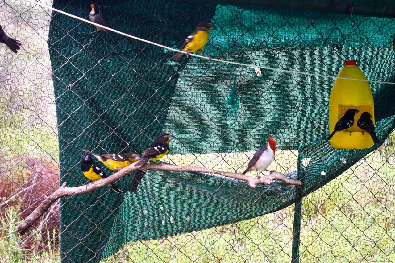 WhatsApp-Image-2024-11-27-at-15.30.44