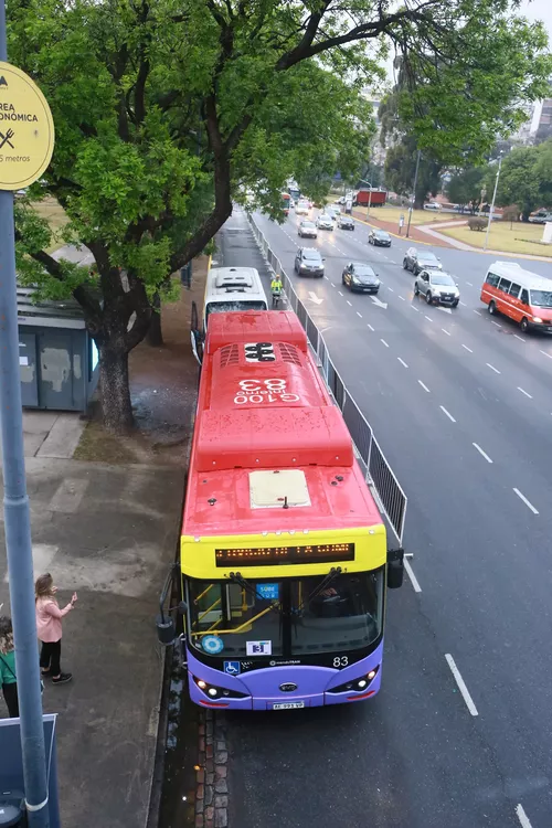 alcaldes C40 bus electrico 4