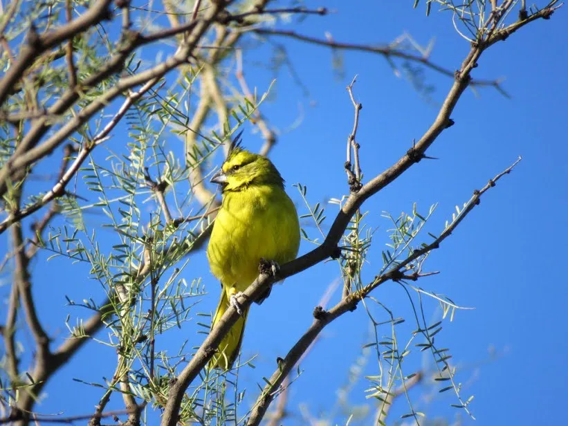 WhatsApp Image 2024-11-20 at 9.49.59 AM