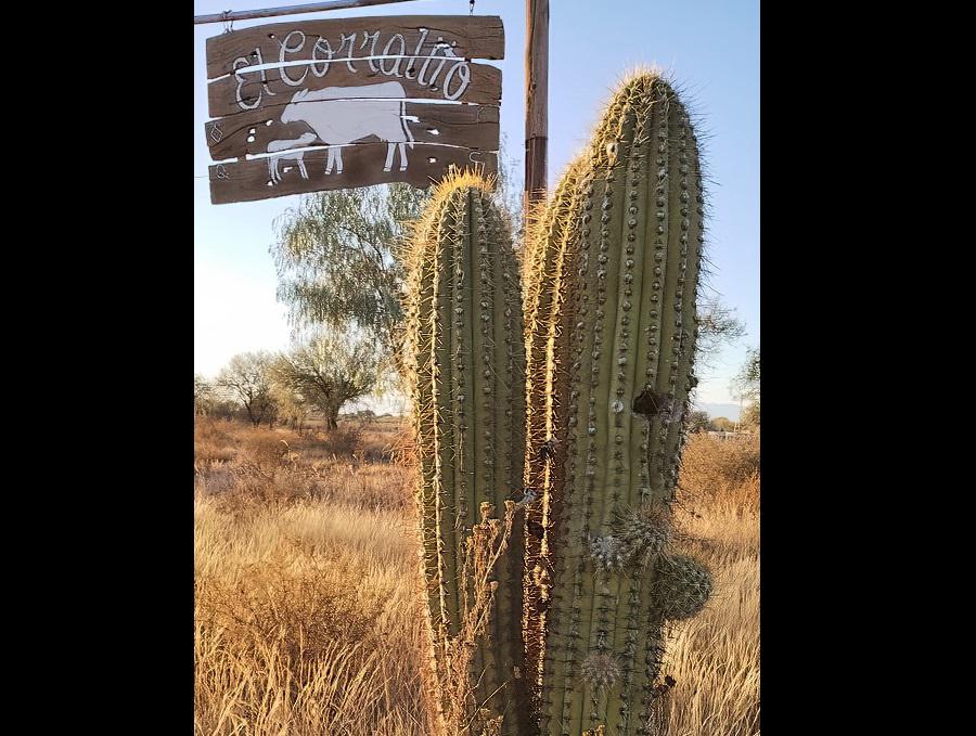 SAN LUIS - ESTANCIA EL CORRALITO - AYACUCHO