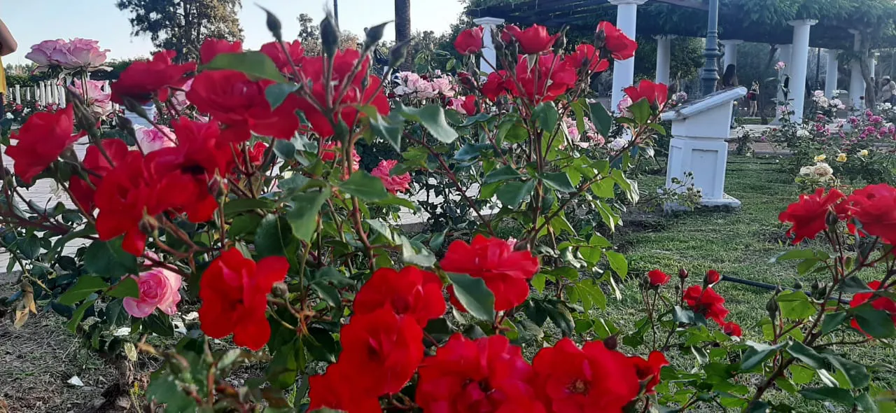 WhatsApp Image 2023-10-27 at 23.36.23 (1)