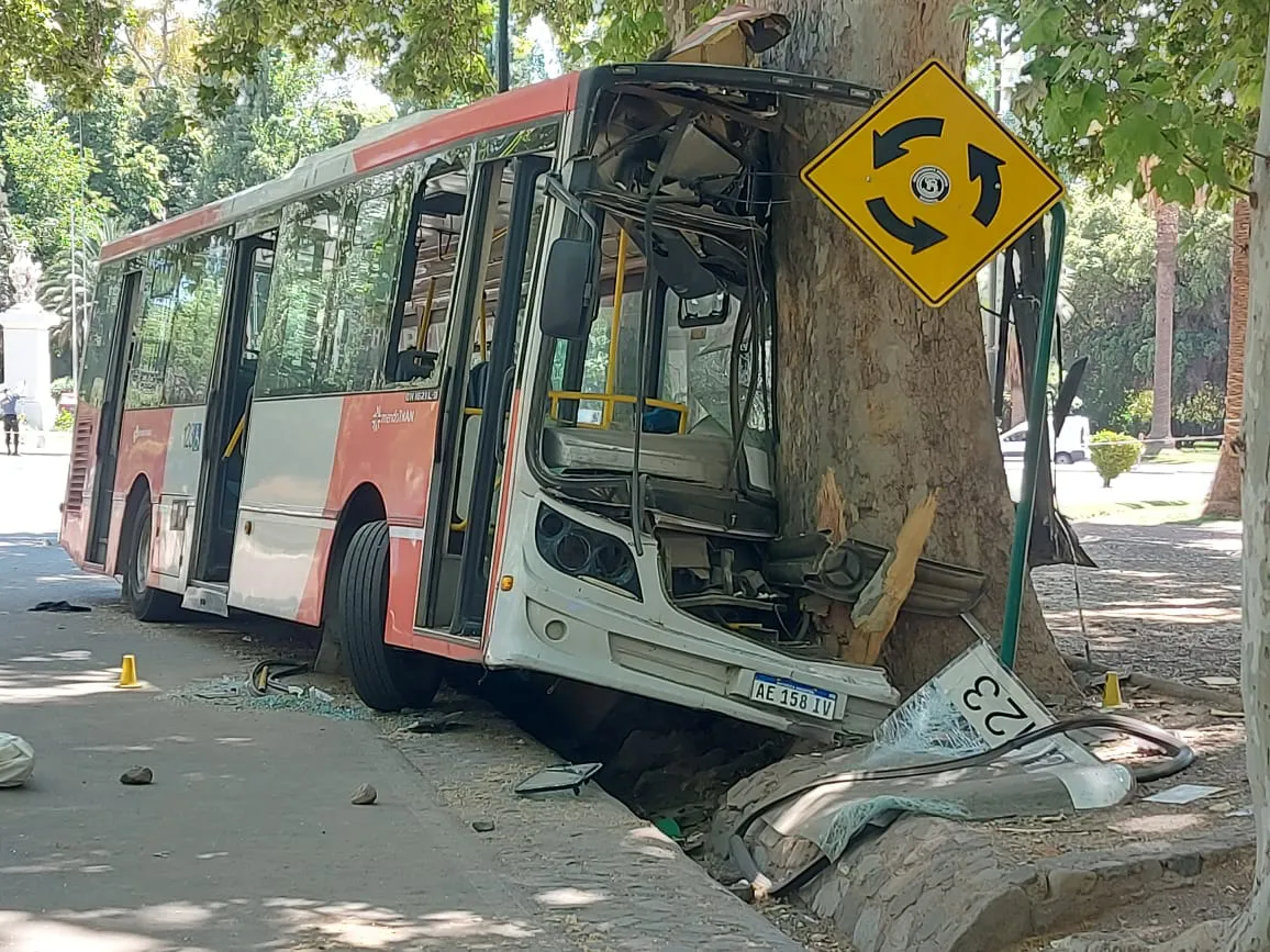 WhatsApp Image 2024-11-10 at 12.14.02 PM