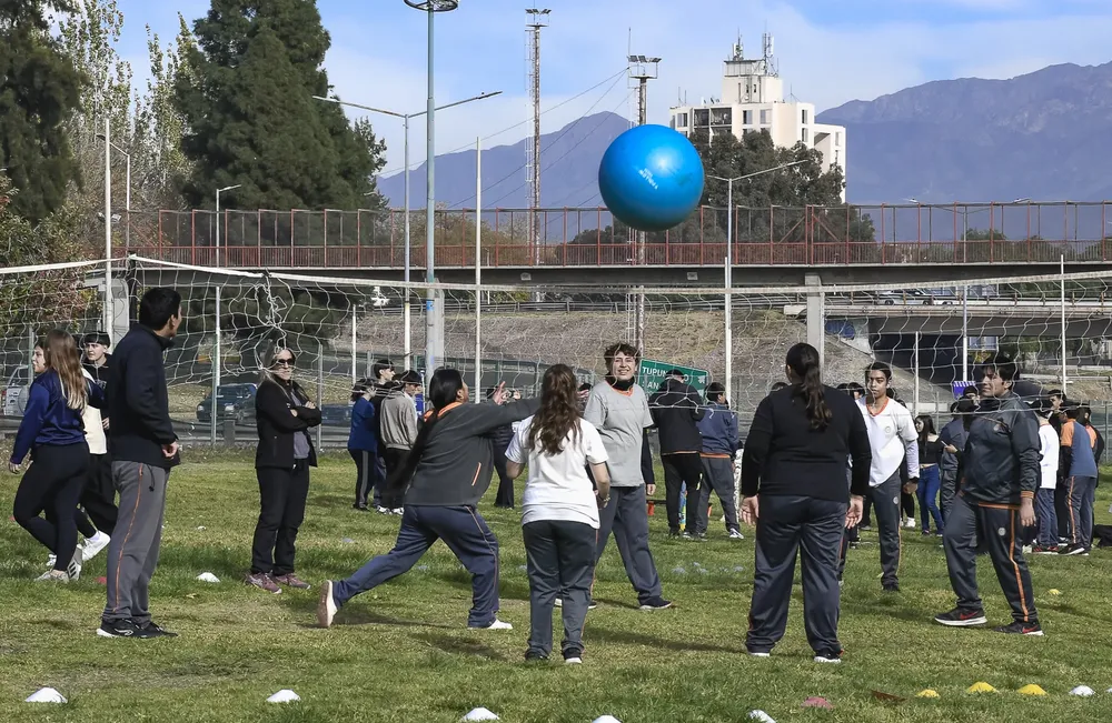 CUIDATE-16