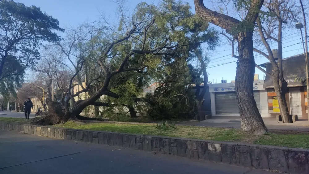 WhatsApp Image 2023-07-21 at 19.36.18 (1)