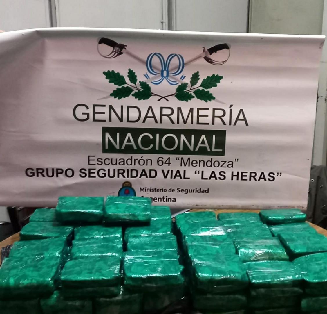 mendoza_hojas_de_coca_1