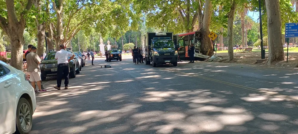 WhatsApp Image 2024-11-10 at 10.30.00 AM