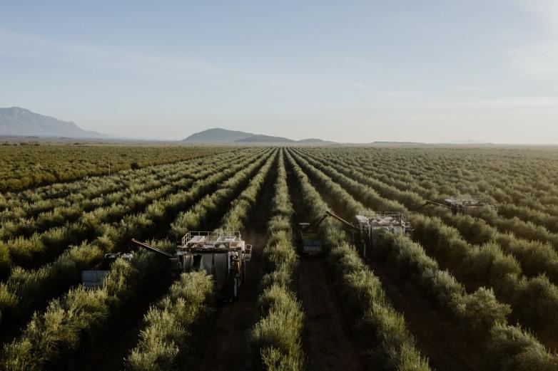 f714f2621aebf99abcf9508d2017f344_L