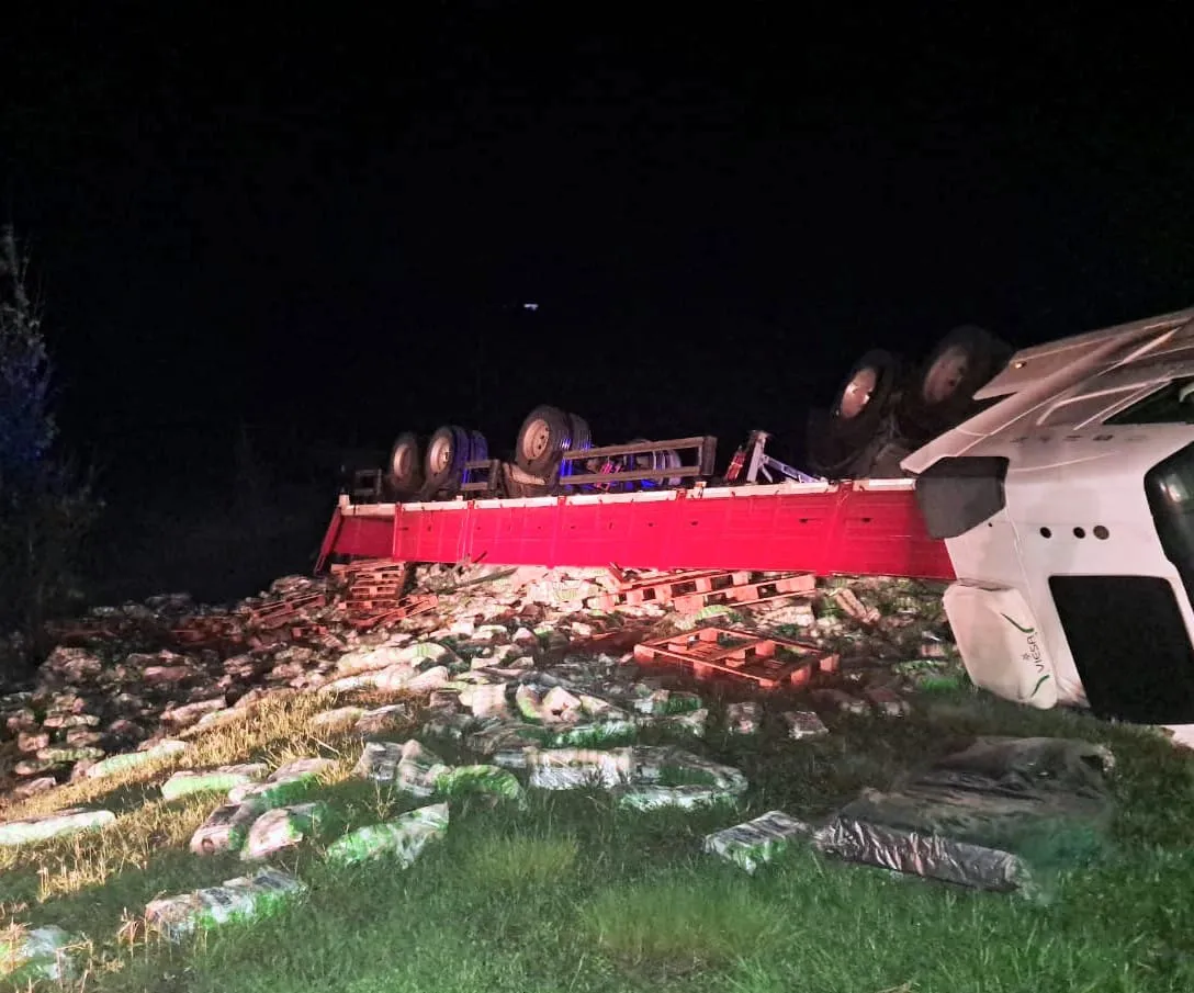 WhatsApp Image 2025-11-30 at 10.25.54 AM