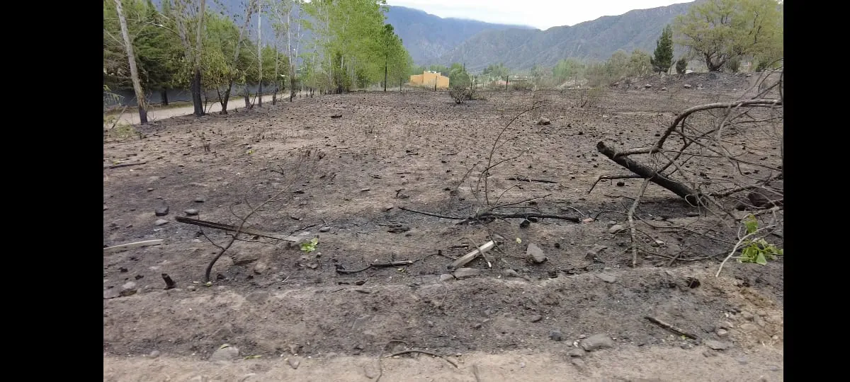 WhatsApp Image 2023-10-31 at 10.56.32