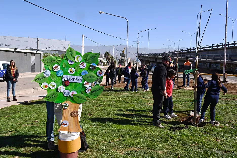 plantacion de arboles con escuelas tadeo garcia zalazar marcelino iglesias
