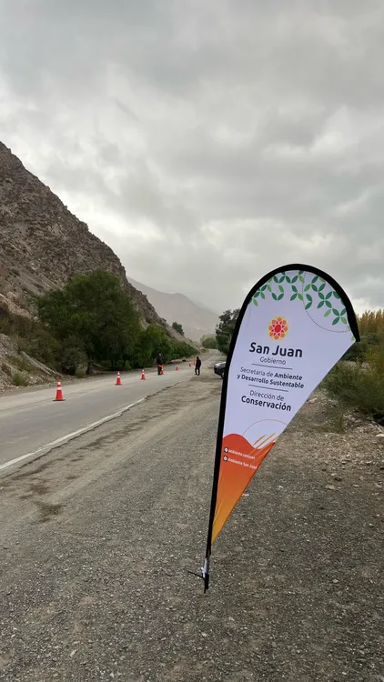 WhatsApp Image 2025-04-19 at 1.40.57 PM (1)