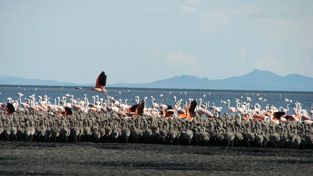 image-7-e1769093102253