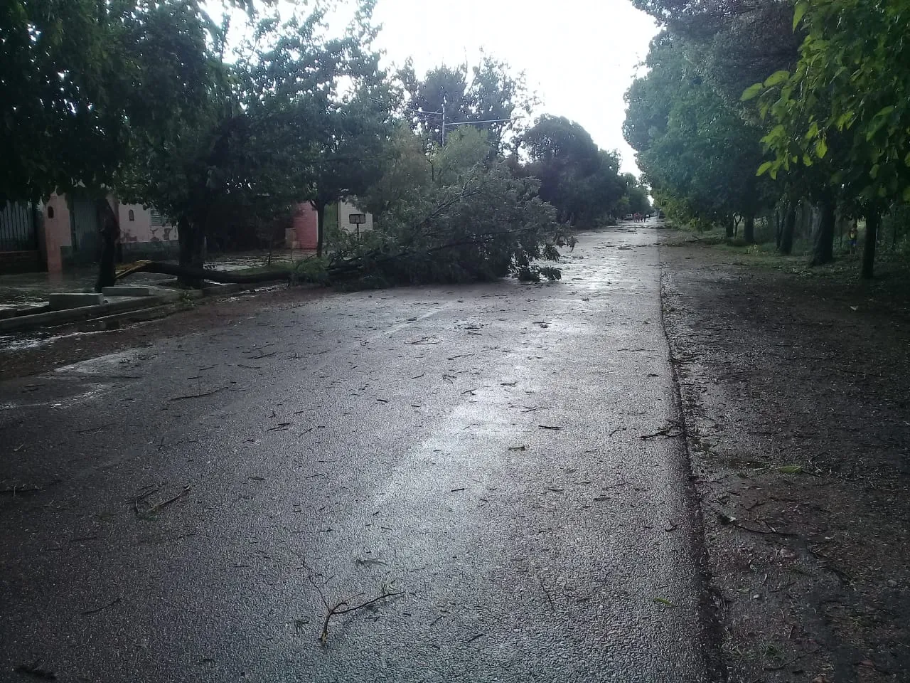 WhatsApp Image 2025-01-23 at 9.49.15 PM (3)