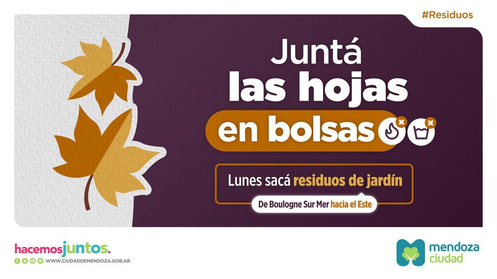 hojas