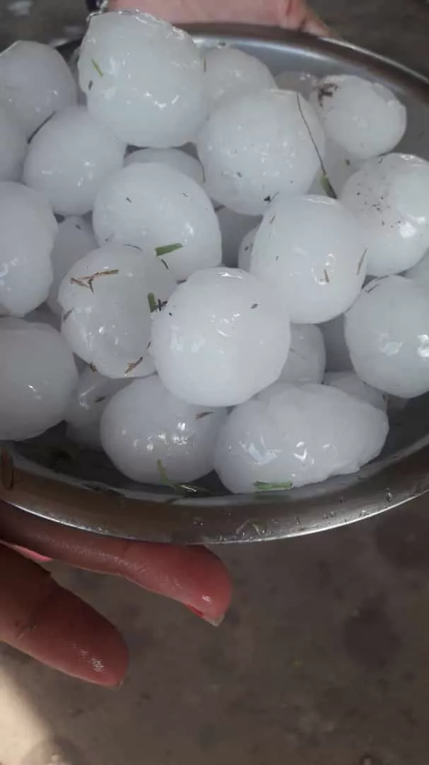 granizo mza 5