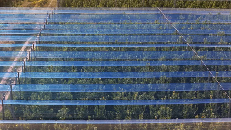 mallas fotoselectivas