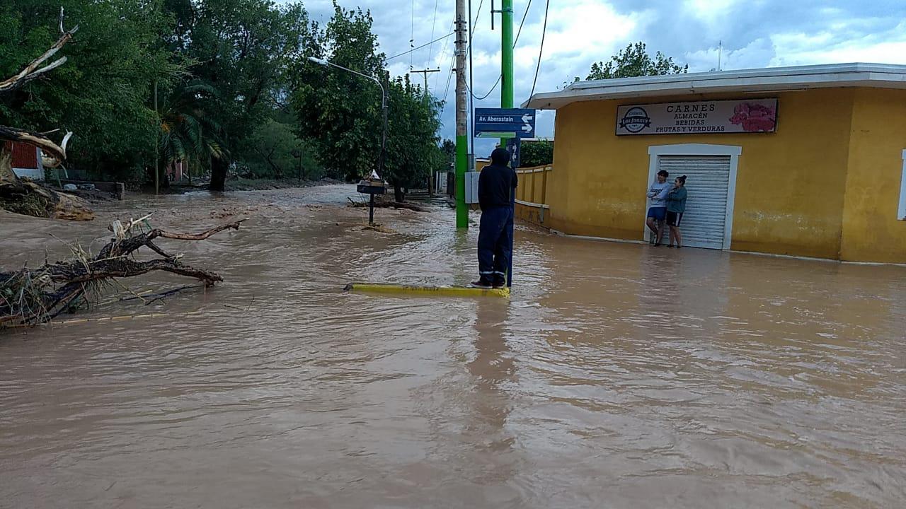 WhatsApp Image 2021-03-01 at 22.02.54