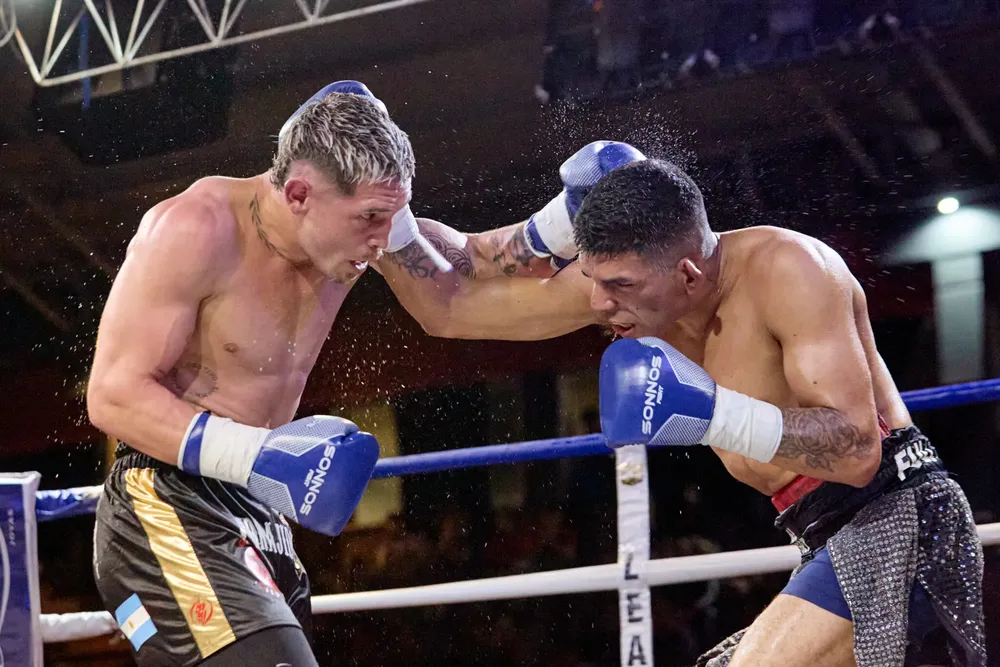 Boxeo, Cuna de Campeones 4