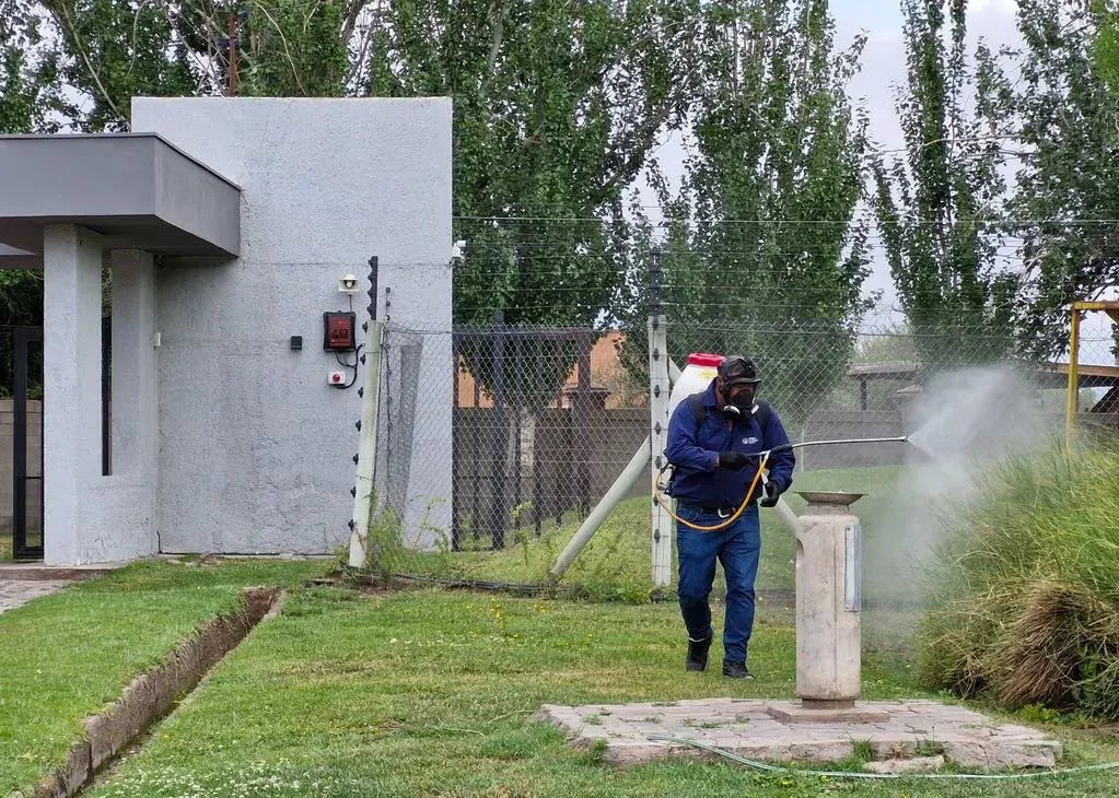 Prevención dengue Maipú 1