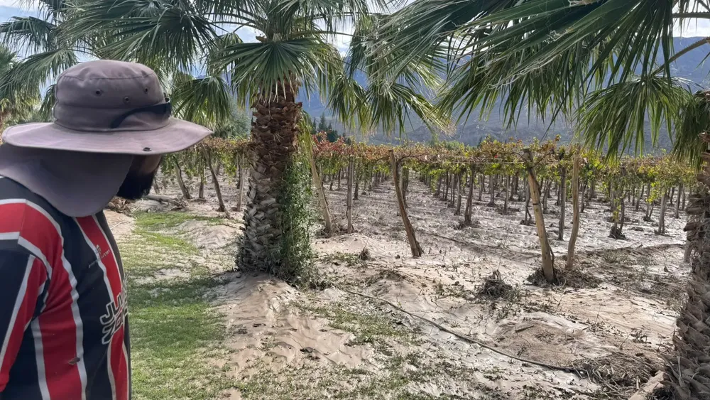 69416666-6cc0-4a30-9c31-84a5d9f8f789