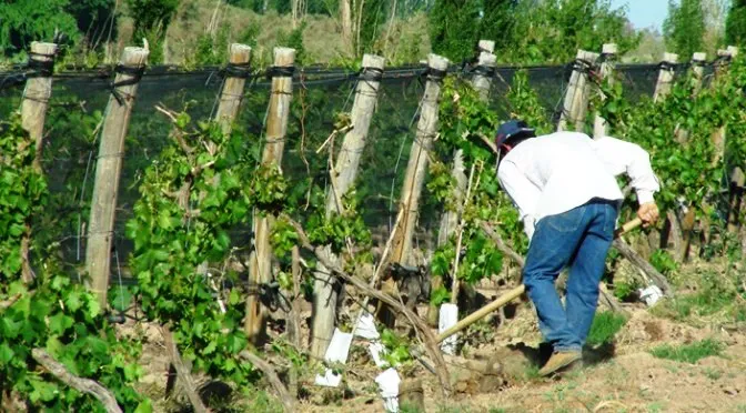 agricultor-1