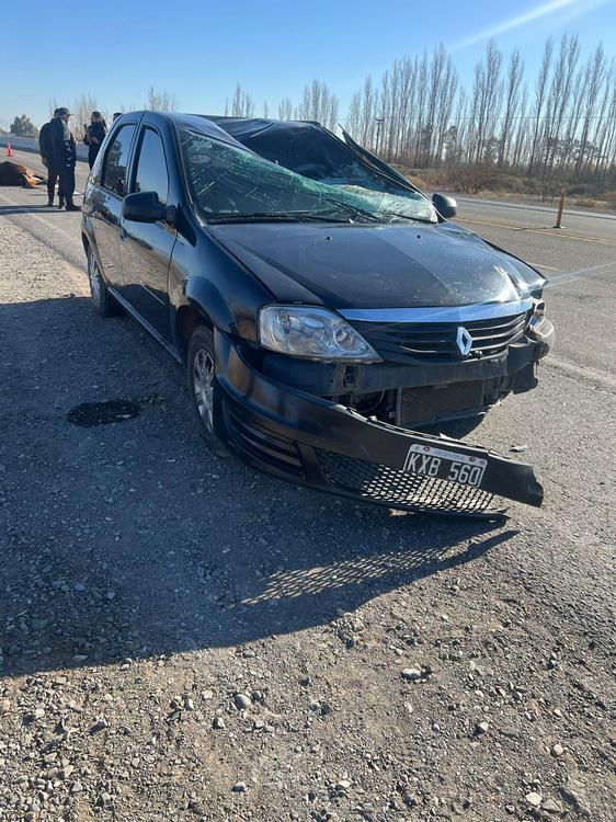 Sj muerte caballo ruta