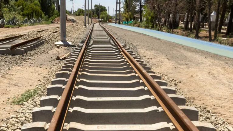 WhatsApp-Image-2026-02-13-at-16.49.27-766x1200 (1)