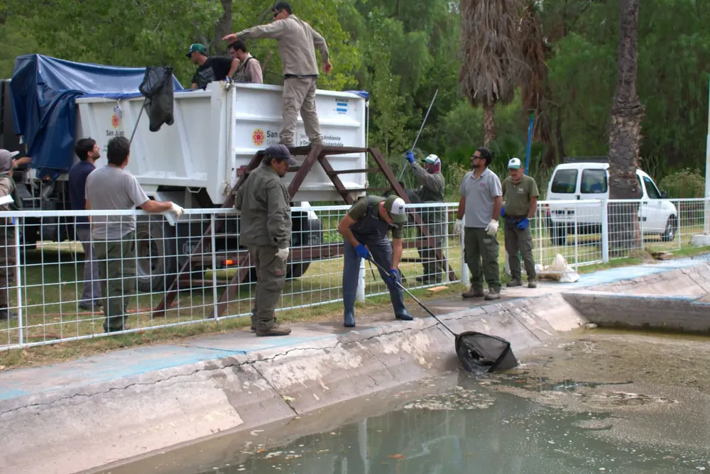 WhatsApp Image 2026-03-13 at 4.13.51 PM