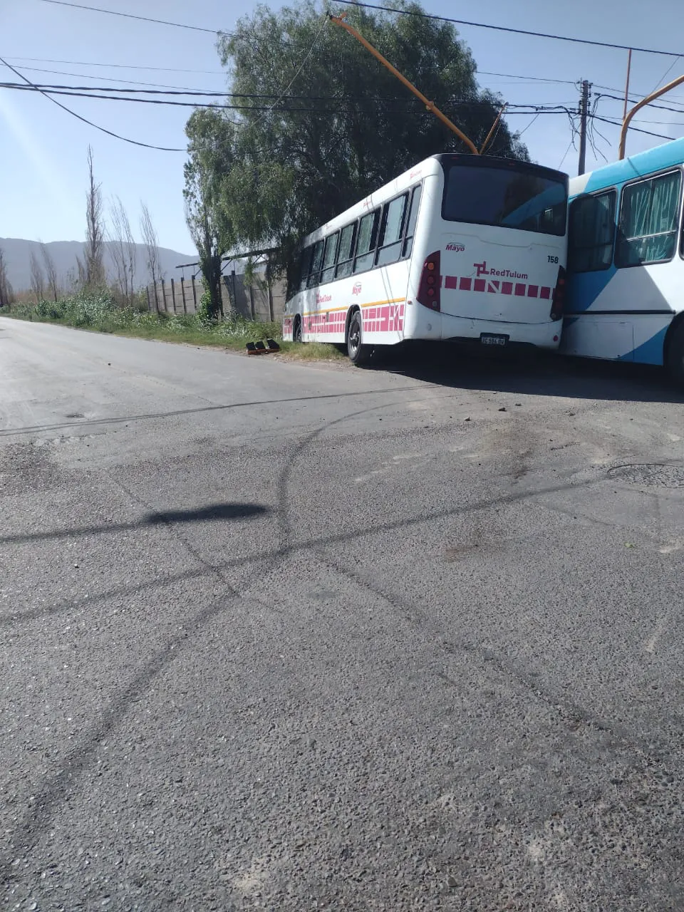 WhatsApp Image 2024-11-16 at 9.13.33 PM (4)