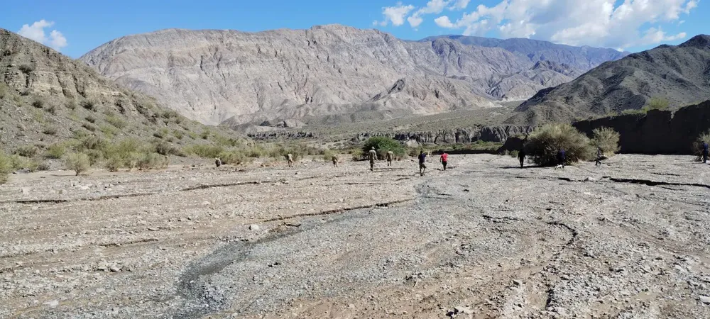 WhatsApp Image 2025-01-17 at 1.13.46 PM (2)