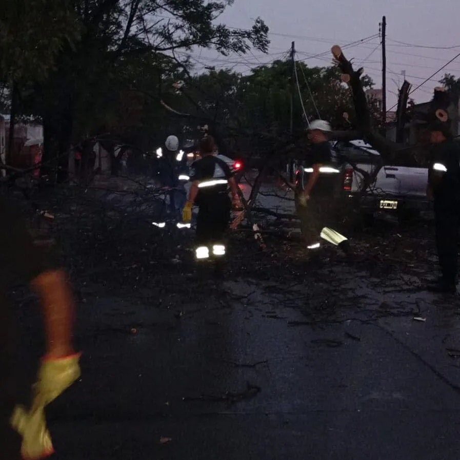 SL temproal 06012025 SL temproal 06012025