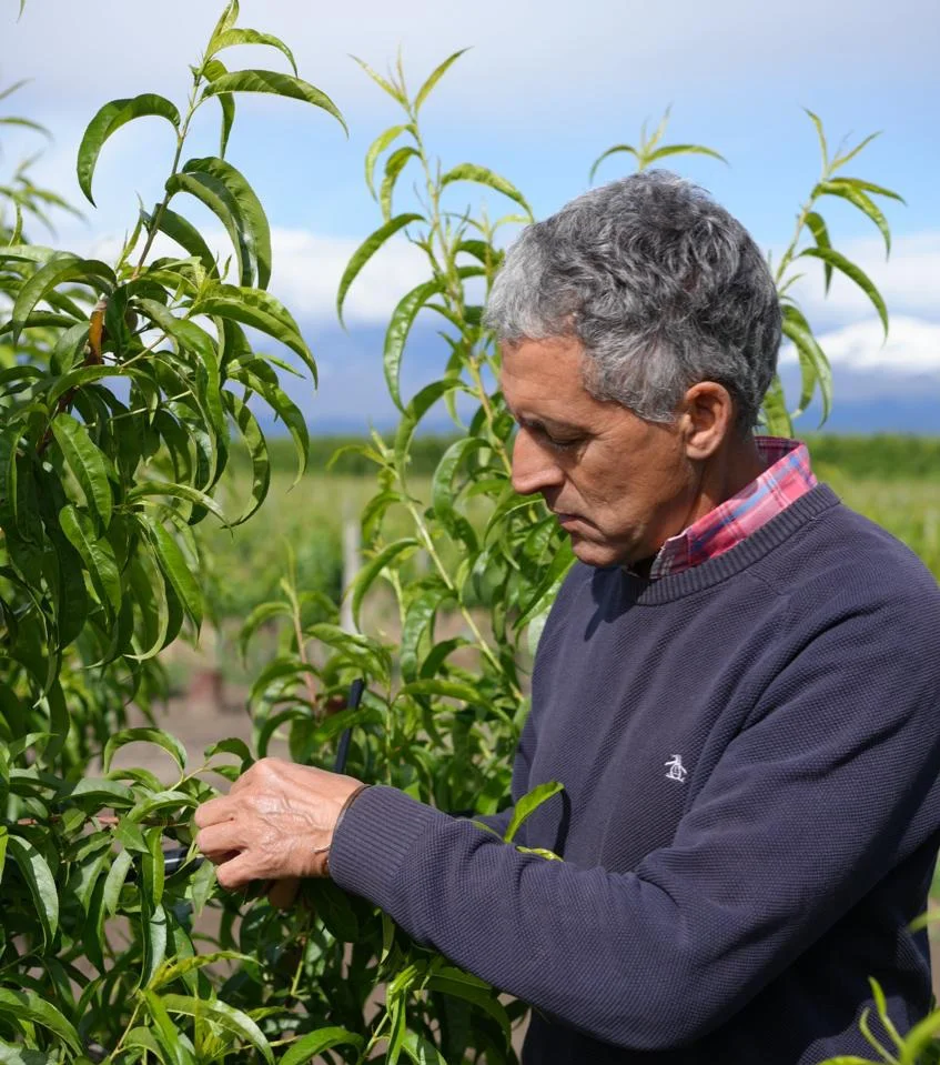 CIAT 64 aniversario (3)