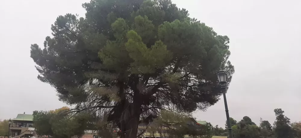 WhatsApp Image 2023-03-18 at 20.11.25 (1)