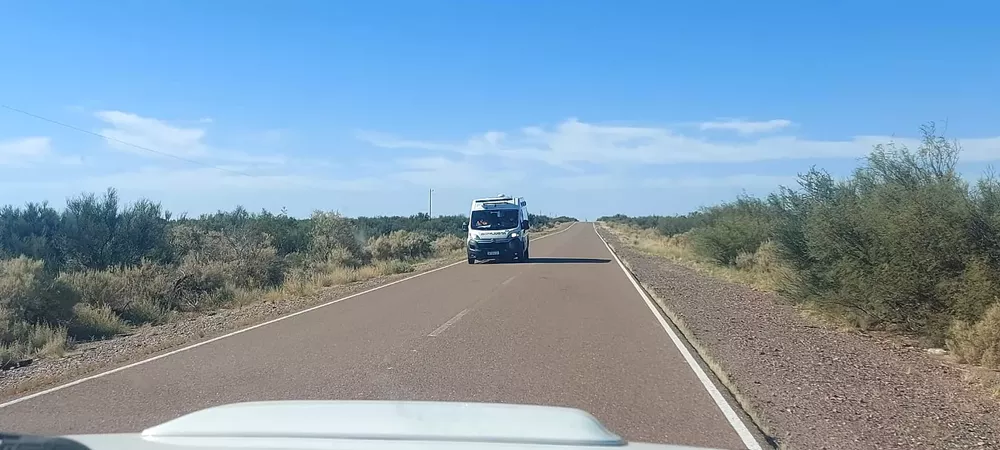 WhatsApp Image 2023-02-27 at 12.47.46