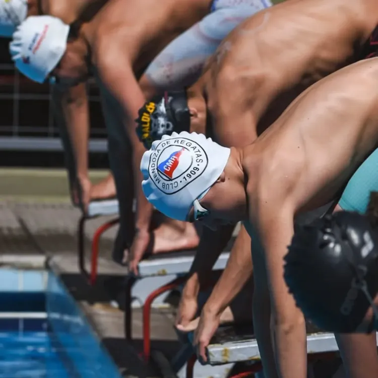 Natacion, Regatas
