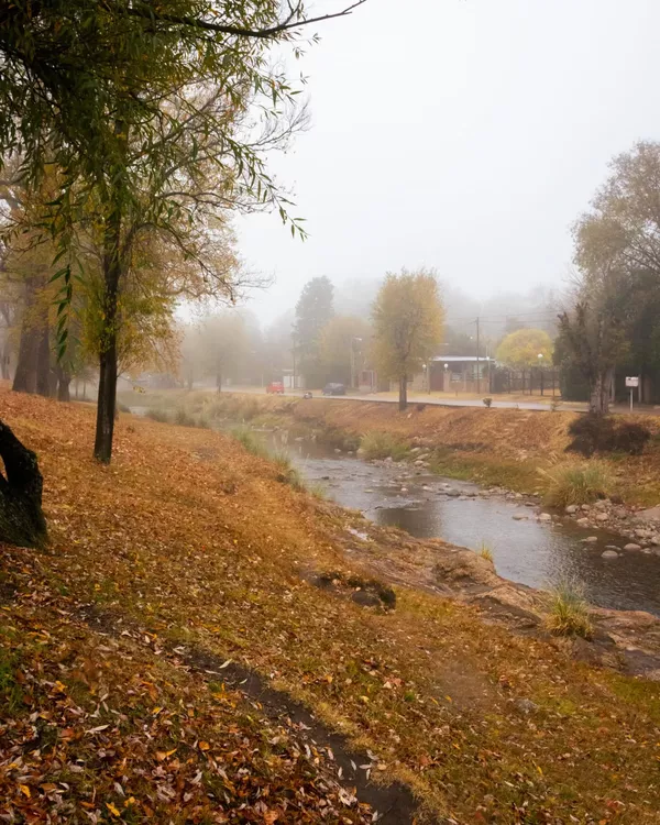 Trapiche (San Luis-Argentina) otoño 
