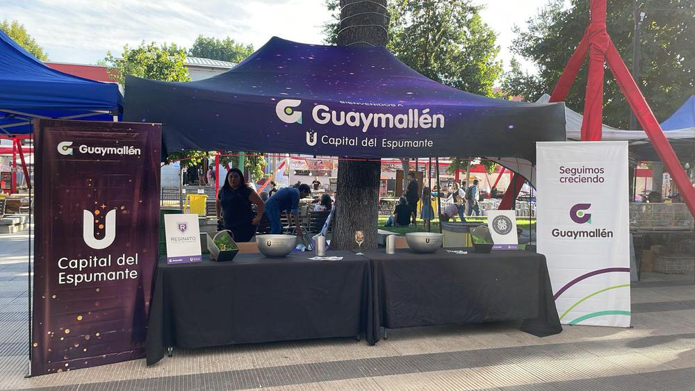 WhatsApp-Image-2024-03-02-at-11.57.51