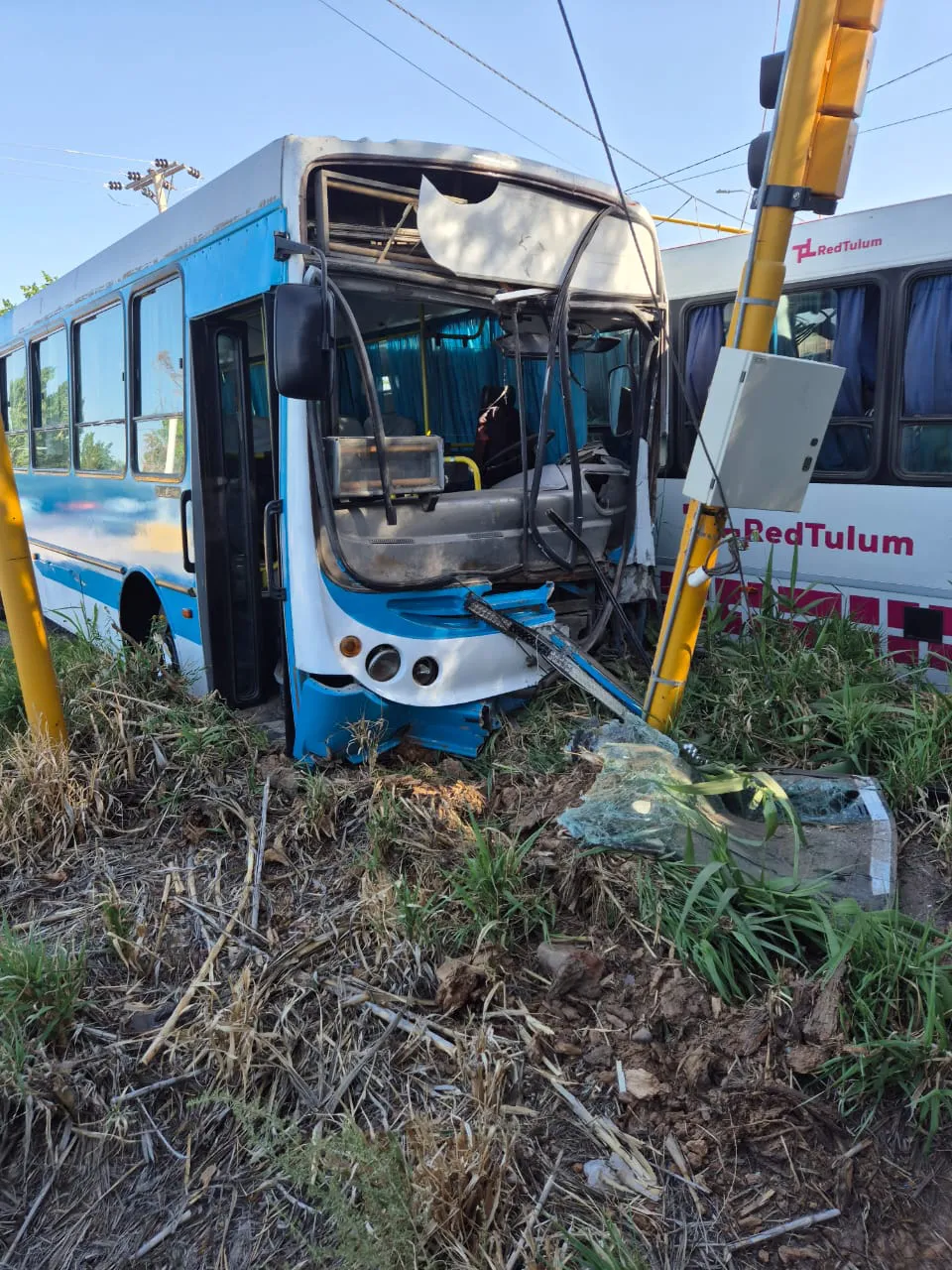 WhatsApp Image 2024-11-16 at 9.13.31 PM (1)