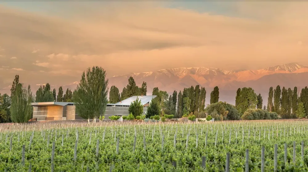 mendoza_paisaje