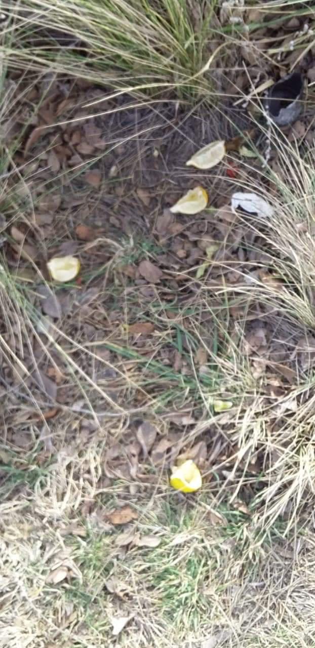 FB_IMG_1628078211825