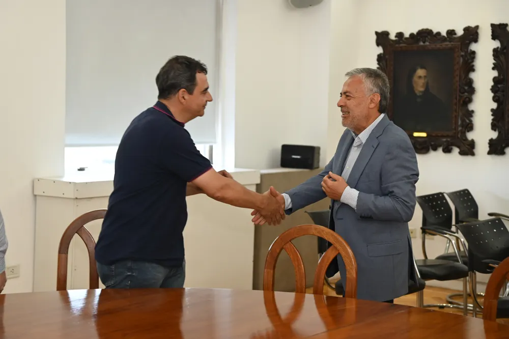 cambios licencias conducir