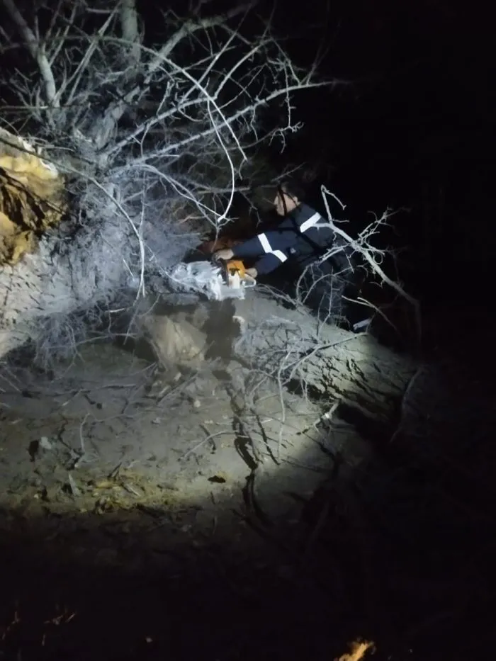 ramas arboles caidos en rutas 3