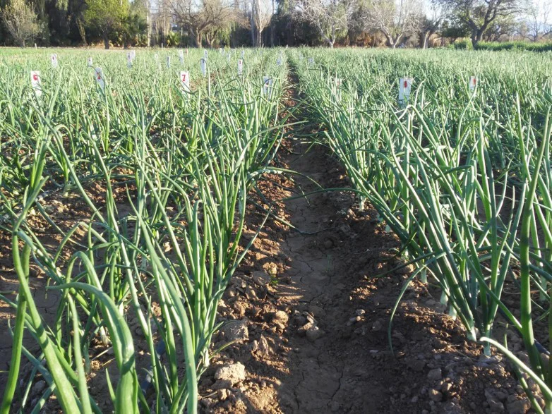 d80cce88d1f7b67fe040565f1814baab_L