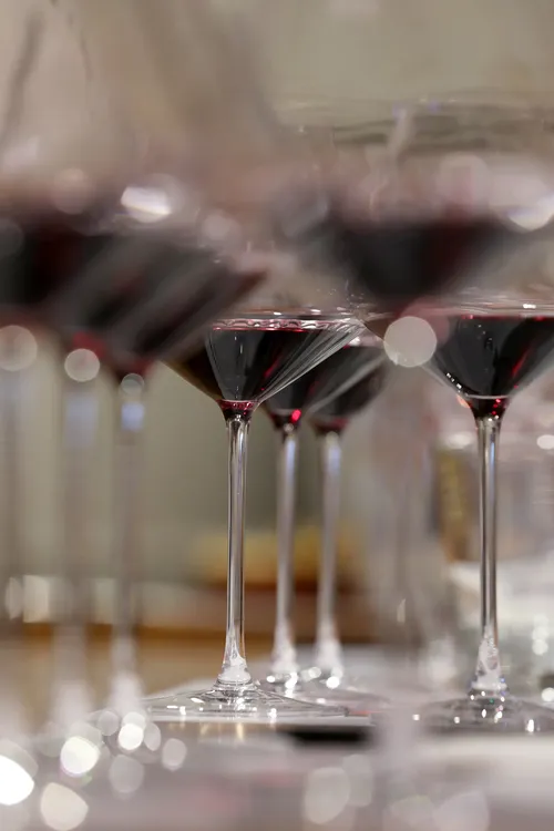 Wines of Argentina - IWSC (2)