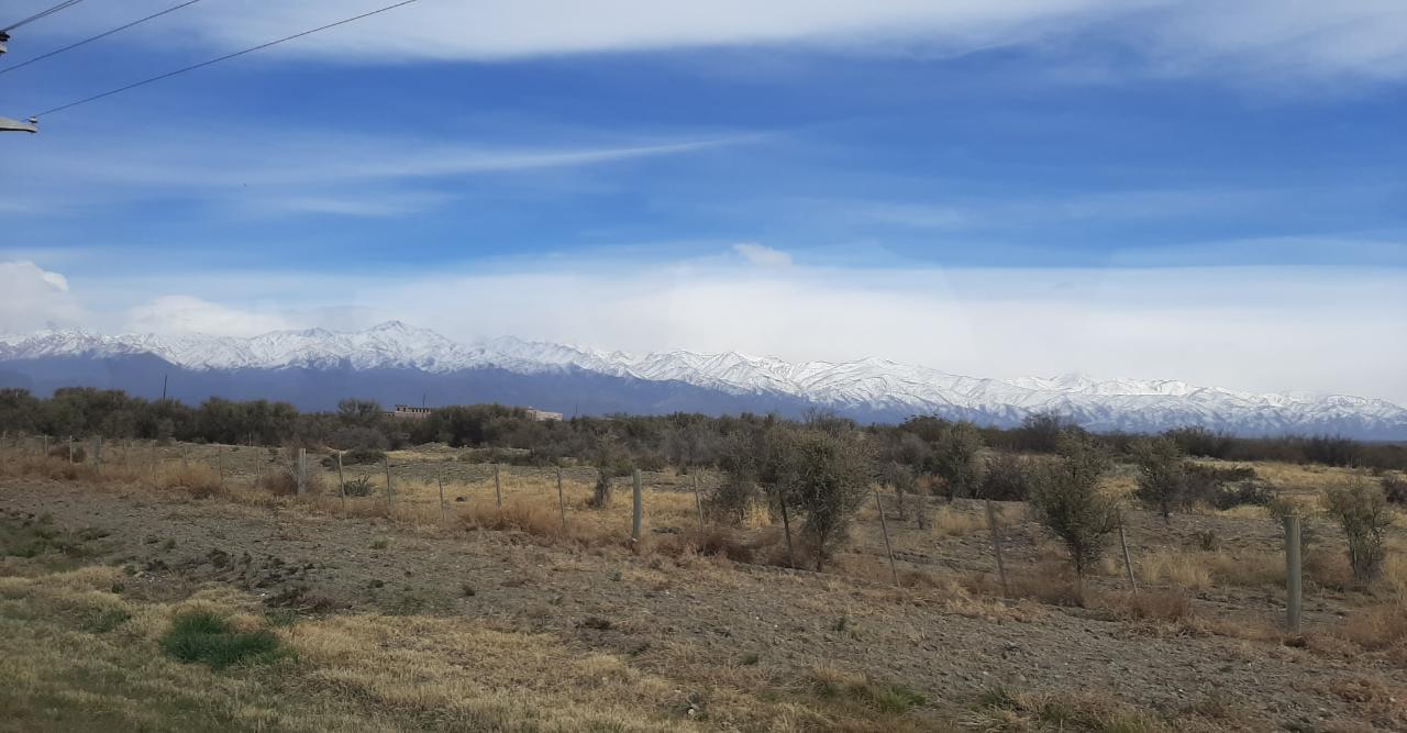 WhatsApp Image 2021-08-28 at 18.54.54