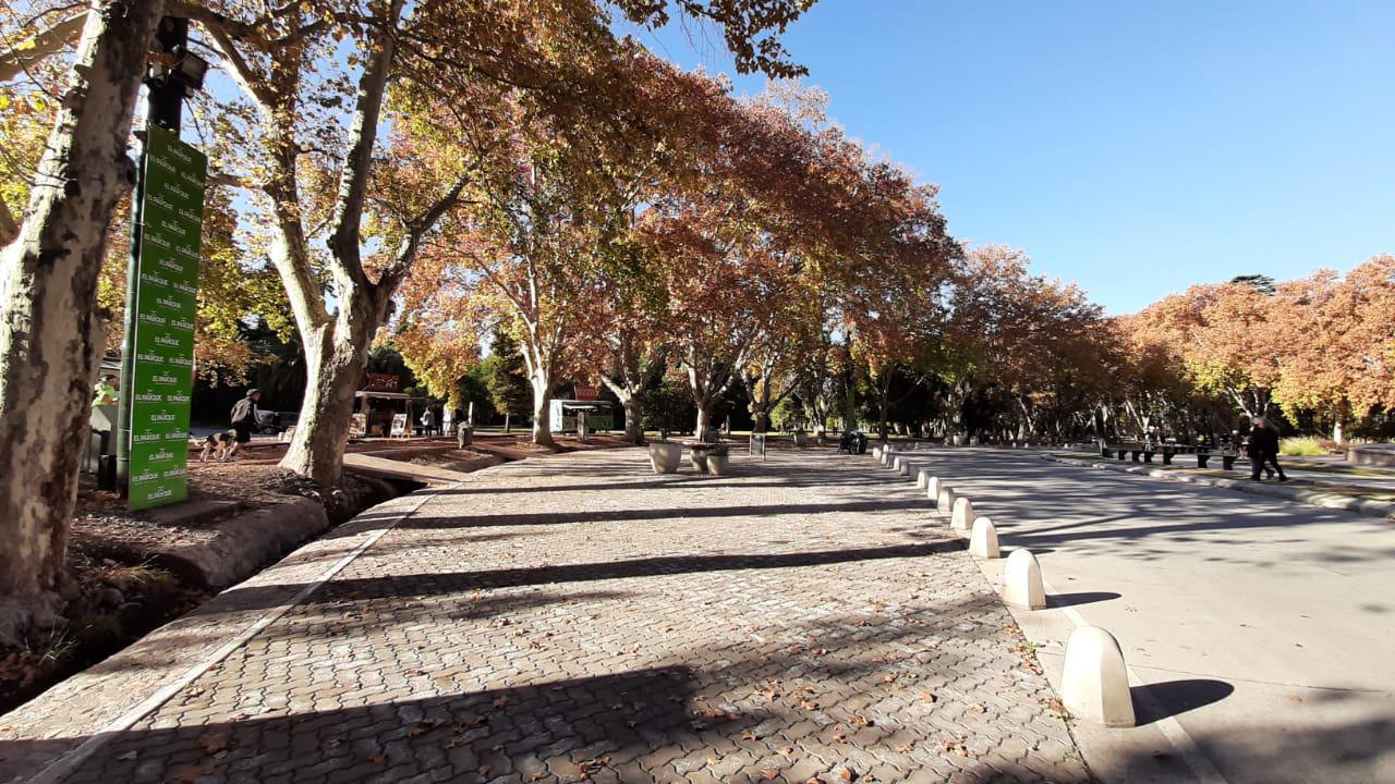 Parque Gral. San Martín /Mendoza-Argentina otoño