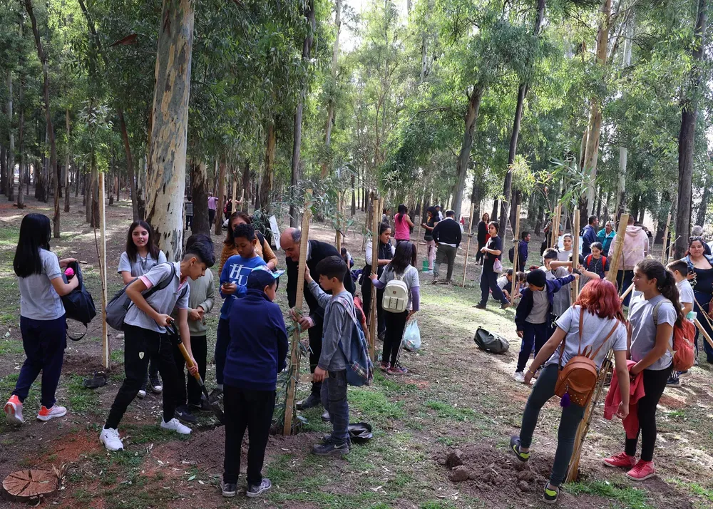 Día provincial del árbol Maipú 1