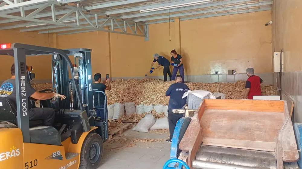 WhatsApp-Image-2026-01-16-at-21.06.57-1