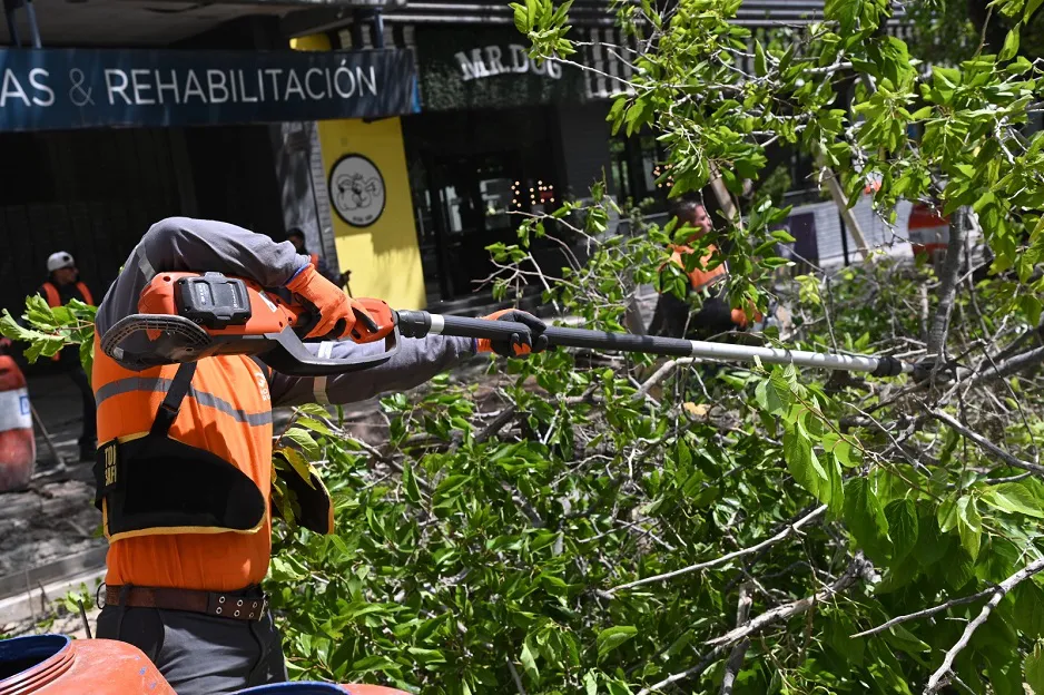 ramas caídas en Godoy Cruz