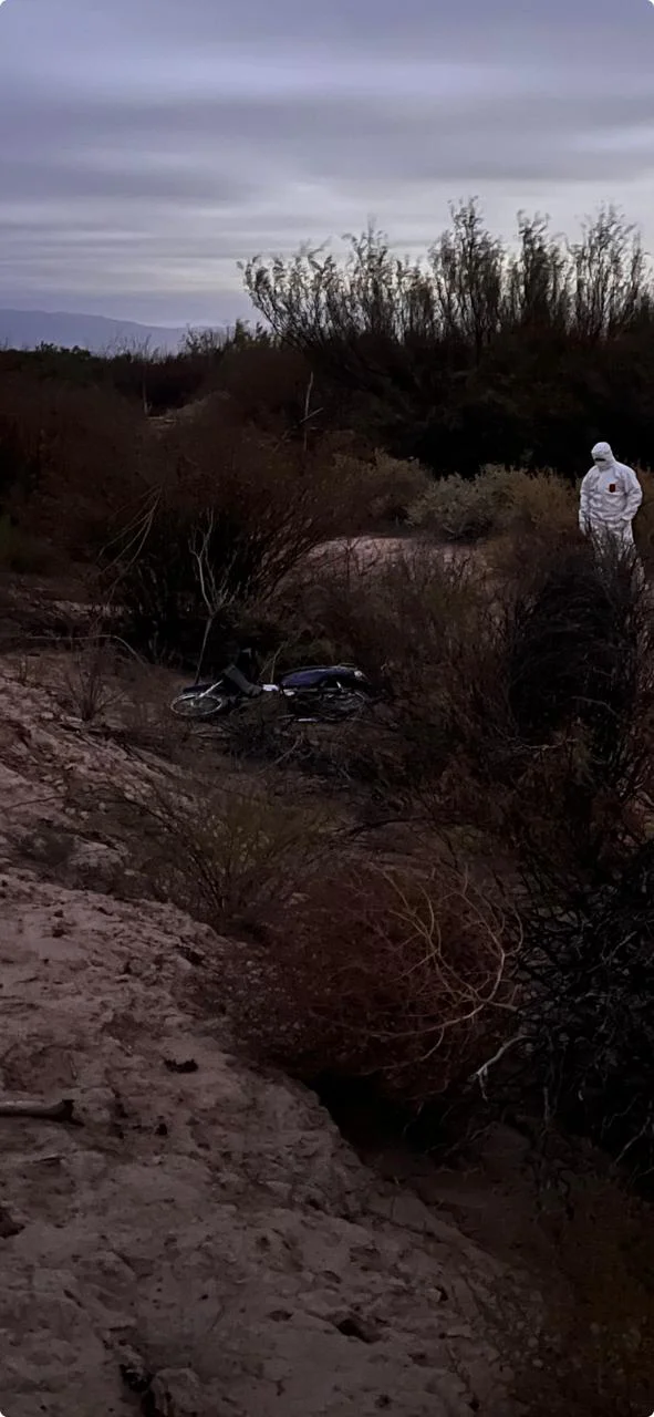 WhatsApp Image 2026-04-05 at 11.14.17 PM (1)